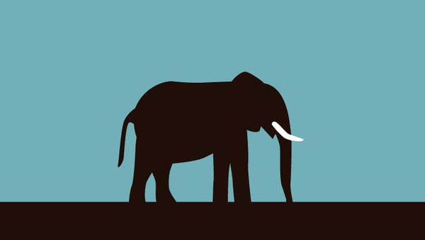 South Sandrachester